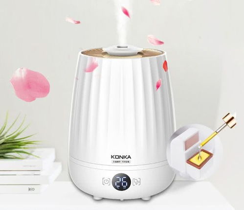 智加設計干貨分享 盤點常見小家電與塑料日用品的創(chuàng)新設計